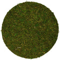 SuperMoss (26331) Moss Soil Toppers (Place Mats), Fresh Green, 24" (1 unit) - color: Fresh Green, size: 24" (1 unit)