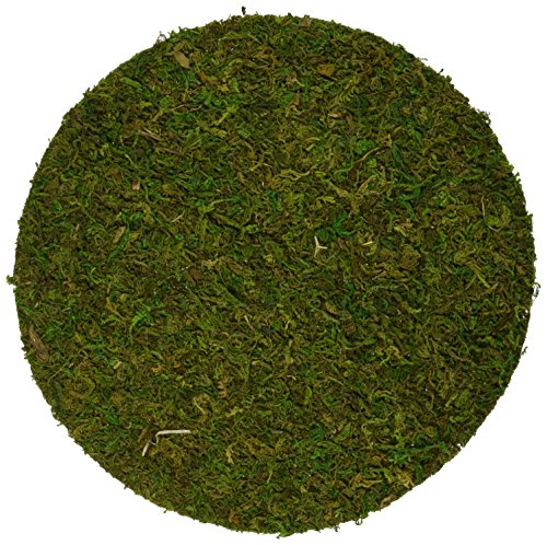 SuperMoss (26331) Moss Soil Toppers (Place Mats), Fresh Green, 24" (1 unit) - color: Fresh Green, size: 24" (1 unit)
