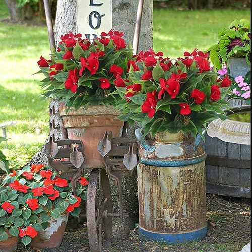2 Pcs Artificial Impatiens Flowers for Outdoors Faux Impatiens Bushes Red Silk Flowers Greenery Faux Flowers for Outdoor Planters Patio Lawn Garden Balcony Pot Hanging Basket Porch Decoration - color: Red