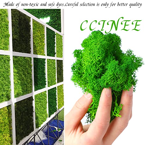 CCINEE Moss Preserved, 4 OZ Fake Green Reindeer Moss for Potted Plants for Craft Arts Floral Wall Decor Wedding Centerpieces Fairy Garden Artificial Terrariums Decoration for Christmas(Green) - color: Green