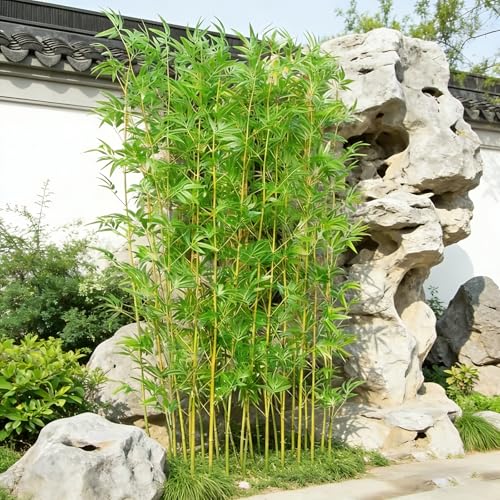 SEIFE Artificial Bamboo Stalks Tree - Faux Bamboo Plants Outdoor for Privacy Fence, Waterproof for Garden Yard & Large Greenery Wall Decor(20 bamboos,1.2m/3.9ft) - color: 20 Bamboos, size: 1.2m/3.9ft