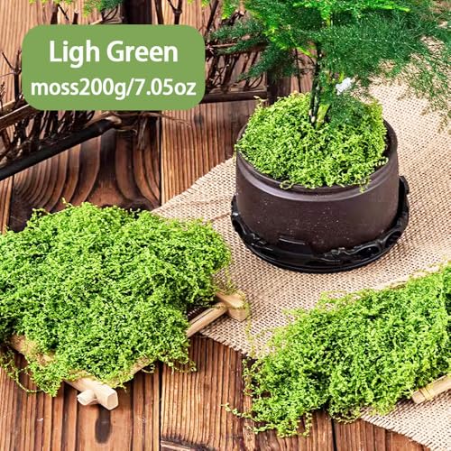 Fake Green Moss for Crafts, Fake Green Moss for Potted Plants, Faux Potted Plants for DIY Decorating Craft Art Potted Wedding Accessories Fairy Garden Accessories, 7.05oz - size: 7.05oz/200g- Light Green