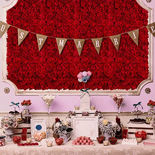BLOSMON Flower Wall Backdrop Red - 6 Pcs 24 x 16 Inch Artificial Hydrangea Floral Panels for Wedding Party Baby Bridal Shower Decor - Fake 3D Silk Flower Backdrop Decoration - color: Red
