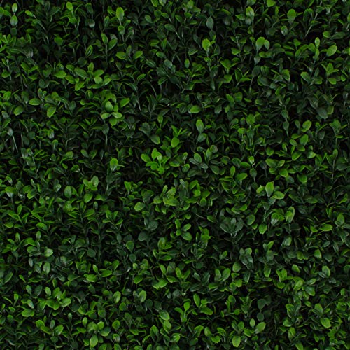 3rd Street Inn Artificial Greenery Wall Panels for Privacy - 4-Pack - color: Soft Touch Holly