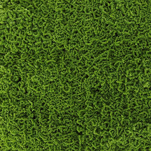 3rd Street Inn Artificial Greenery Wall Panels for Privacy - 12-Pack - color: Moss