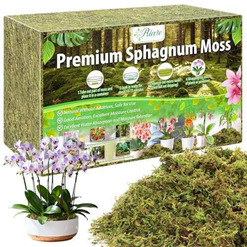 Riare 3.3LBS Premium Sphagnum Moss for Plants- 60QT Natural Dried Plant Moss for Potted Plants, Orchid Moss for Repotting, Soft Green Decorative Moss for Succulents, Reptiles & DIY Crafts - color: 60 QT(Appx.3.3lbs)