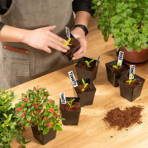 June Fox Square Nursery Pots 3.3 Inches Flexible Plastic Seedling Pots Square Pots for Plants, Succulent, Flower, Pack of 60, with 60 PCS Plant Labels - color: 60 Pcs
