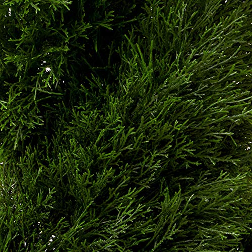 Nearly Natural Double Pond Cypress 4 ft. H Spiral Topiary UV Resistant with 1036 Leaves (Indoor/Outdoor) - size: 10 in x 48 in x 10 in