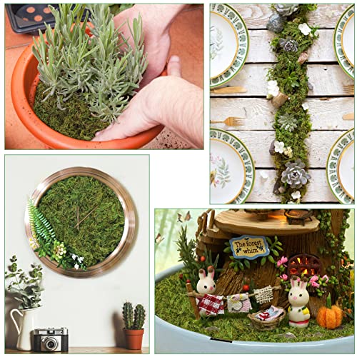 35 OZ Large Capacity Artificial Moss for Potted Plants,Natural Fake Moss Grass for Plants Indoor,Craft and Greenery Bulk for Hamsters(Fresh Green)
