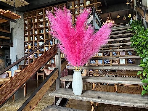 Premium Faux Hot Pink Pampas Grass – Fuchsia 43.3″ 8pcs Tall Fluffy Decor, No Assembly 18-Branch One-Piece Stems for Floor Vase Decor, Luxury Silk-Feel Feather Flowers (8 pcs/110cm) - color: Faux Hot Pink, size: 8pcs 43.3"(110cm)