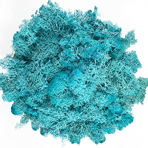 Moss Preserved Moss Natural Fresh Green Moss for Craft Arts Floral Project Wall Decor Table Decor Wedding Centerpieces Garden Artificial Terrariums Decoration -Water Blue 3.5OZ - color: Water-blue, size: 3.5oz