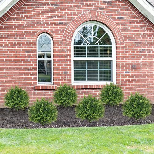 THE BLOOM TIMES Artificial Outdoor Eucalyptus Plants, UV Resistant Fake Bushes & Shrubs with Ground Spike, Faux Topiary for Front Porch Outside Planter Decor Set of 2, Overall 24" - color: Eucalyptus