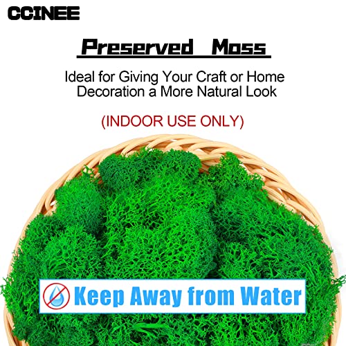 CCINEE Moss Preserved, 4 OZ Fake Green Reindeer Moss for Potted Plants for Craft Arts Floral Wall Decor Wedding Centerpieces Fairy Garden Artificial Terrariums Decoration for Christmas(Emerald Green) - color: Emerald Green