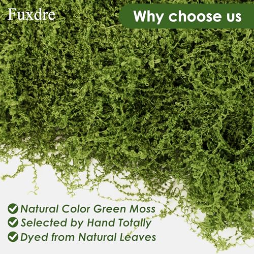 6 Colors Artificial Moss for Crafts, 21.16oz Moss for Plants Indoor, Fake Green Moss Decor for Fairy Garden, Model Making, DIY Decorative, Table Centerpieces, Walls, Home, Wedding Party