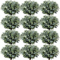 Janinka Mixed Eucalyptus Leaves Stems Bulk with White Seeds Artificial Silver Dollar Leaves Sprays Faux Oval for Wreath Garland Floral Bouquets Arrangement Wedding Greenery Decoration(60 Pcs)