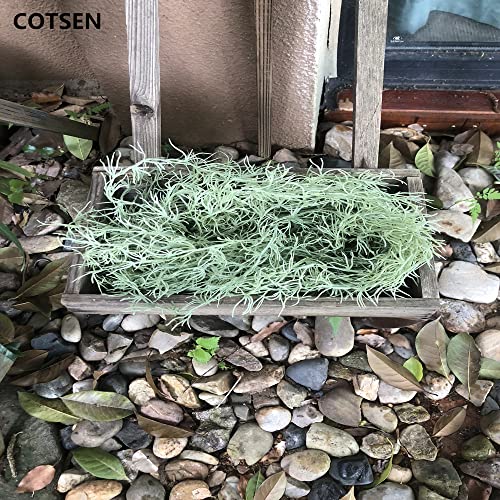 COTSEN 5 Pack Spanish Moss Faux Greenery Moss Fake Vines Moss Hanging Plants for Potted Plants Artificial Hanging Moss Garland Used for Family Indoor and Outdoor Gardens Decoration