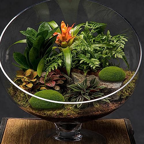 Anxingo 30 Pcs Artificial Moss Stones, 3 Size Fake Moss Decor, Decorative Stones Covered with Faux Green Moss, Green Moss Balls for Floral Arrangements, Crafting and Fairy Gardens