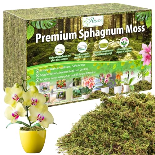 Riare 2.8LBS Premium Sphagnum Moss for Plants- 55QT Natural Dried Plant Moss for Potted Plants, Orchid Moss for Repotting, Soft Green Decorative Moss for Succulents, Reptiles & DIY Crafts - color: 55 QT(Appx.2.8lbs)