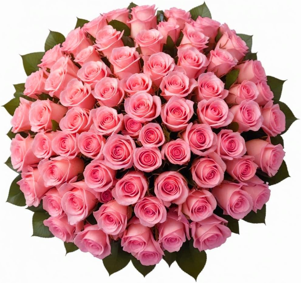 100 Pink Roses | Bulk Roses by Arabella Bouquets | Real Fresh Flowers for Delivery, Gift for Birthday Women, Congratulations, Anniversary, Thank You, Mother's Day - color: Pink, size: 100 Stems