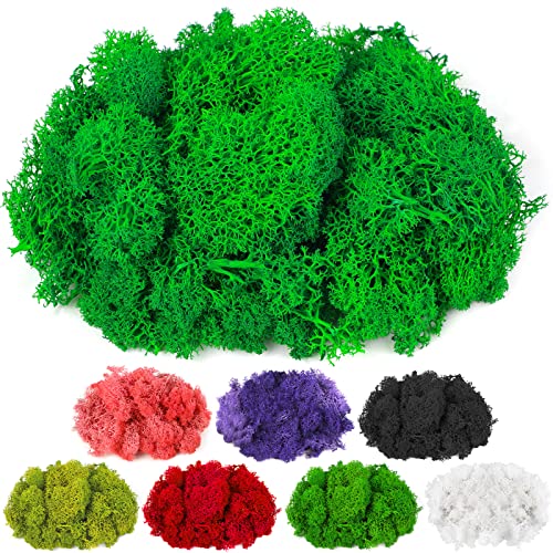 CCINEE Moss Preserved, 4 OZ Fake Green Reindeer Moss for Potted Plants for Craft Arts Floral Wall Decor Wedding Centerpieces Fairy Garden Artificial Terrariums Decoration for Christmas(Emerald Green) - color: Emerald Green