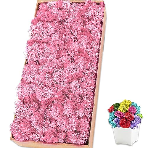 Preserved Reindeer Moss, 17.6 oz Pink Decorative Craft Moss for Potted Plants, Fairy Gardens, DIY Wall Art, Floral Arrangements, Christmas Easter Wedding Holiday Decor - color: Pink, size: 17.6 OZ