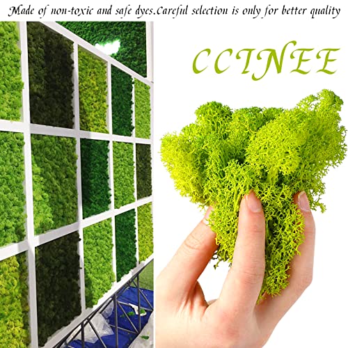 CCINEE Moss Preserved, 4 OZ Fake Green Reindeer Moss for Potted Plants for Craft Arts Floral Wall Decor Wedding Centerpieces Fairy Garden Artificial Terrariums Decoration for Christmas(Chartreuse) - color: Chartreuse
