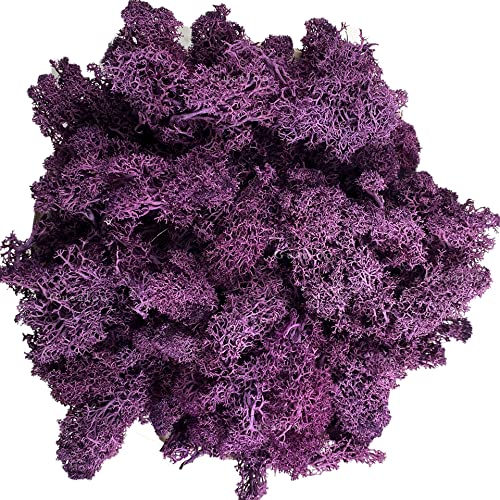 Moss Preserved Moss Natural Fresh Green Moss for Craft Arts Floral Project Wall Decor Table Decor Wedding Centerpieces Garden Artificial Terrariums Decoration- Purple 3.5OZ - color: Purple01, size: 3.5oz