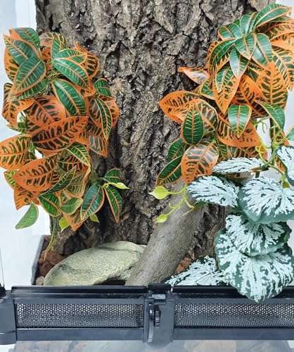 Woyrise 2 Pack Reptile Plants, Terrarium Hanging Plant Vines, Artificial Leaves with Suction Cup, Bearded Dragon Tank Accessories for Gecko Lizard Snake Frog Tortoise Decorations - Codiaeum Variegatum - color: Codiaeum Variegatum