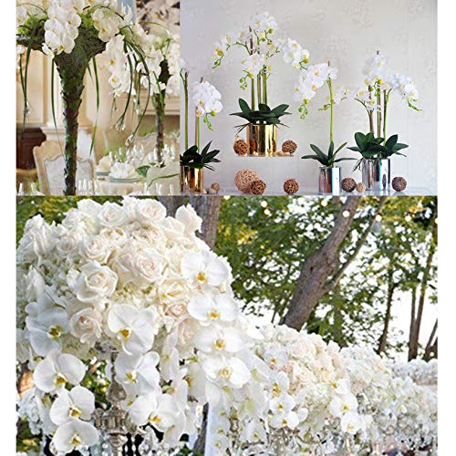 FagusHome 32" Artificial Phalaenopsis Flowers 6 Pcs with 4 Bundles Leaves Artificial Orchid Flowers Stem Plants for Home Décor (6Pcs) - color: White+green