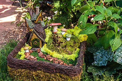 SuperMoss (50310) Fairy Garden Kit, Mixed Mosses, 4 oz., Multicolor