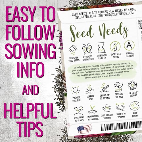 Seed Needs Strawflower Seeds for Planting Mixed Annual Cut Flowers 2 Packs - size: 2 Packs