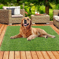XLX TURF 5 FT x 5 FT Outdoor Artificial Grass Rug, Realistic Pets Friendly Fake Grass Mat for Dogs, Turf Carpet for Patio Balcony Floor Covering with Drainage Holes - size: 5' x 5' (Square)