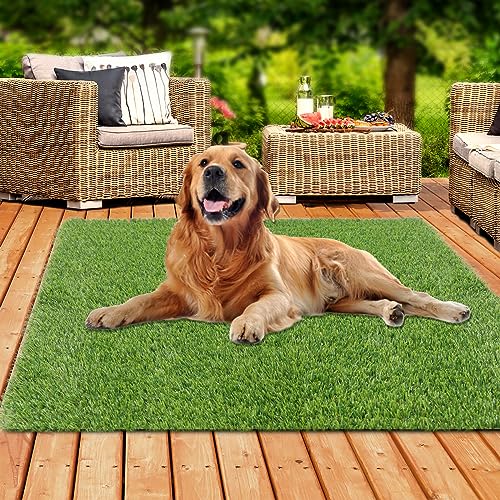 XLX TURF 5 FT x 5 FT Outdoor Artificial Grass Rug, Realistic Pets Friendly Fake Grass Mat for Dogs, Turf Carpet for Patio Balcony Floor Covering with Drainage Holes - size: 5' x 5' (Square)