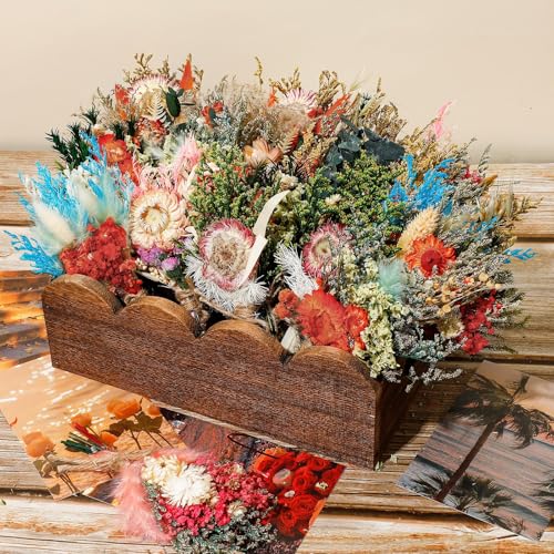 Layhit 24 Pcs Boho Dried Flower Bouquet Mini Wedding Handmade Dry Flowers Decor for Vase Crafts DIY Photo Boutonniere for Men Floral Plant for Bridesmaid Gift Birthday Decor (Gerbera Daisy) - style: Gerbera Daisy