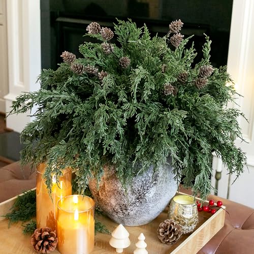 Faux Cedar Stems Artificial Norfolk Pine Branches for Christmas Decor, 12 PCS Fake Pine Stems with 2 PCS Pine Cones Branches Real Touch Realistic Faux Greenery for Vases DIY Garland Xmas Table Indoor - color: 12 Pcs Cedar Stems, 2 Pcs Small Pinecone Stems