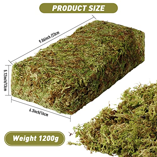 EBOOT 42.33 oz Faux Moss Fake Moss for Potted Plants Large Capacity Faux Dried Moss for Terrarium Decorative Artificial Natural Moss for Fake Plants Forest Moss for DIY Crafts Office Decor(2.65 lb)