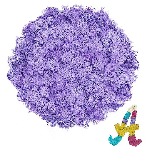 Preserved Reindeer Moss, 3.5 oz Light Purple Decorative Craft Moss for Potted Plants, Fairy Gardens, DIY Wall Art, Floral Arrangements, Christmas Easter Wedding Holiday Decor - color: Light Purple, size: 3.5 OZ