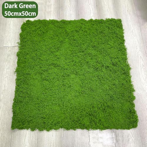 Artificial Green Moss Mat for Decoration Carpet Grass Wall, 19.68 x 19.68 inch Natural Preserved Moss Mat, Green Moss Sheets for Crafts Woodland Decor Garden Party Decorations Wall Art DIY Project