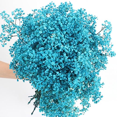17.2 Inch Dried Flowers Baby's Breath Bouquet - 2500+ Dry Flowers,Natural Gypsophila Branches for Home Decor, Wedding, Table Decor, DIY Wreath Floral, Dry Flowers Bulk for Vase (Blue) - color: Blue