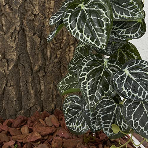Reptile Plants for Terrarium, Amphibian Habitat Decor Artificial Hanging Plants with Suction Cup - Fake Anthurium Crystallinum - color: Fake Anthurium Crystallinum