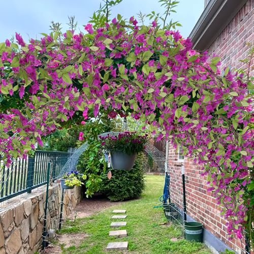 CITYES Artificial Bougainvillea Flowers Garland Purple Silk Bougainvillea Vines UV Resistant Realistic Faux Hanging Flowers Plants for Outdoor Outside Summer Decoration Porch Patio Balcony Yard Wall - color: Purple