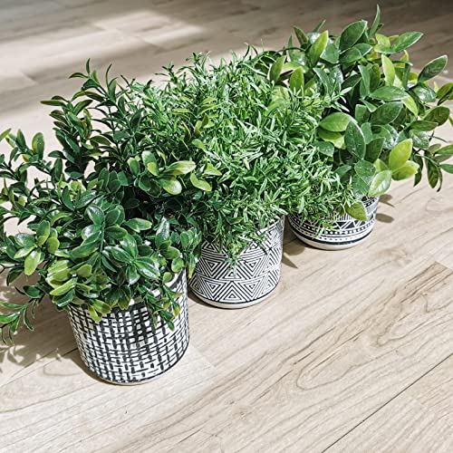 Winlyn Set of 3 Small Potted Plants Artificial Eucalyptus Rosemary Boxwood Plants in Black and White Geometric Pots for Table Centerpiece Kitchen Counter Windowsill Indoor Outdoor Garden Greens Decor