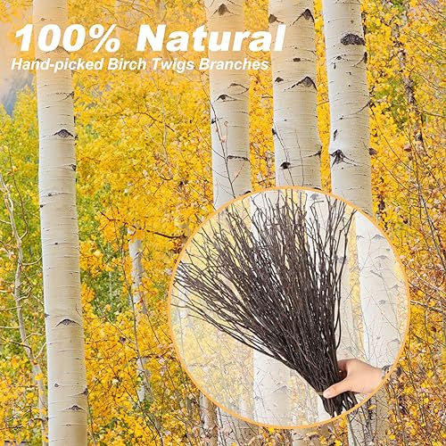 60Pcs Real Dried Birch Twigs Branches - 16” Natural Decorative Birch Branches for Easter Vases, Birch Sticks for DIY, Centerpiece, Floral Arrangment, Twig Wreath, Rustic Home Decor - size: 60