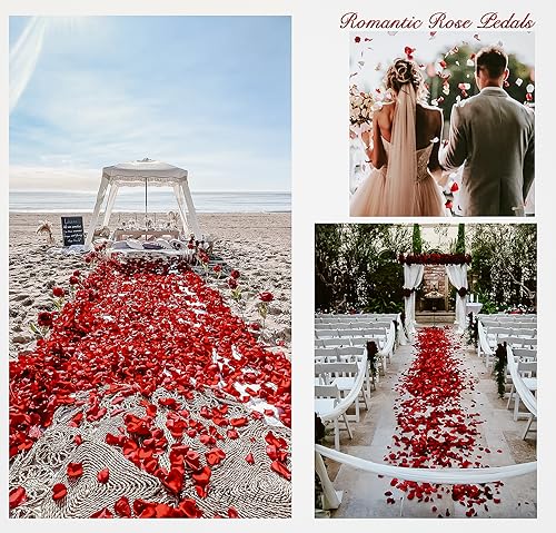 Pyrrhiax 1000Pieces Rose Petals, Artificial Flower Petals Fake Rose Petals Silk Red Rose Petals for Romantic Night,Wedding,Proposal Anniversary Flower Decorations (Deep Purple) - color: Deep Purple, size: 1000pcs