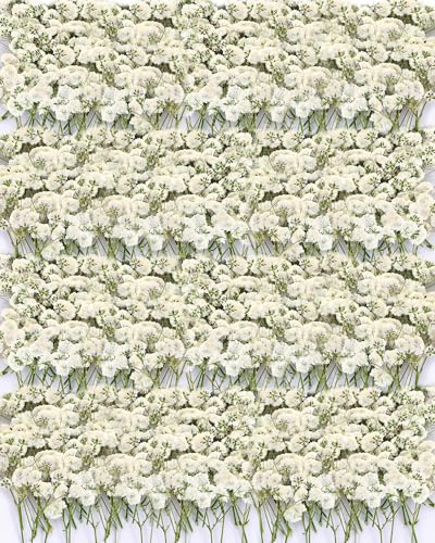 220Pcs Dried Pressed Baby's Breath Flowers - 100% Natural Flat Real White Gypsophila Baby Breath, Pressed Flowers for Resin Art, Epoxy Coasters, Wedding Invitations, Scrapbooking, Frame Decorations - size: 220