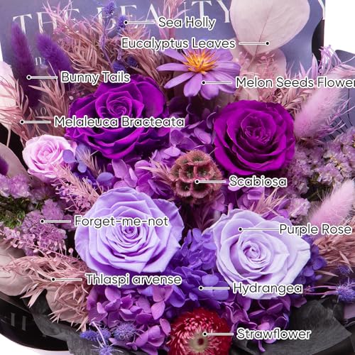 Bessol Flowers for Delivery Preserved Flower Bouquet Forever Fresh Flowers Birthday Gifts for Women Mom Anniversary Red Real Rose Gifts for Grandma Wife Girlfriend Sister Her from Daughter - color: Purple Preserved Flower Bouquet, size: Large