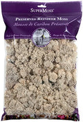 SuperMoss (21722) Reindeer Moss Preserved, Natural, 8oz (200 cubic inch) - color: Natural, size: 200 in3 Bag (Appx. 8oz)