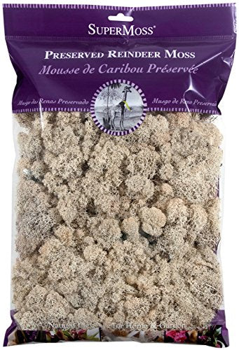 SuperMoss (21722) Reindeer Moss Preserved, Natural, 8oz (200 cubic inch) - color: Natural, size: 200 in3 Bag (Appx. 8oz)