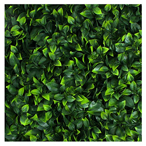 3rd Street Inn Artificial Hedge - Outdoor Artificial Plant - Great Boxwood and Ivy Substitute - Sound Diffuser Privacy Fence Hedge - Topiary Gardenia Greenery Panels (12, Gardenia) - color: Gardenia