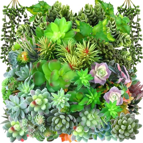 Tigeen 80 Pcs Artificial Plastic Succulents Realistic Textured Assorted Decorative Faux Succulent Fake Faux Succulents Unpotted for Lotus Landscape Garden Arrangement (Classic Style) - style: Classic Style